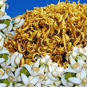 بهار نارنج