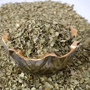 آویشن برگ پهن شیرازی