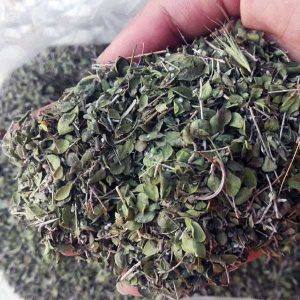 کاکوتی