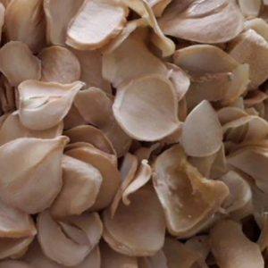 موسیر