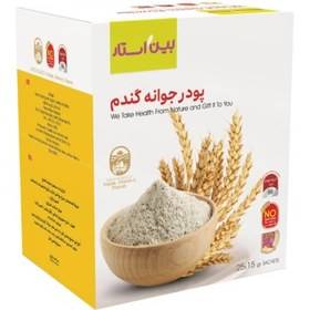 پودر جوانه گندم ساشه ای 25 عددی - بین استار